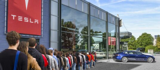 Why an Enterprise Architect is Like Tesla