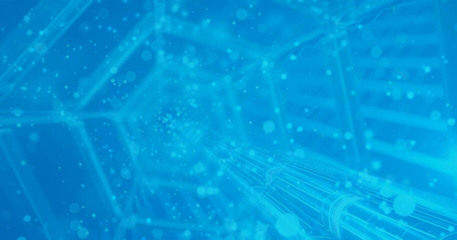 Flexera Completes Acquisition of BDNA