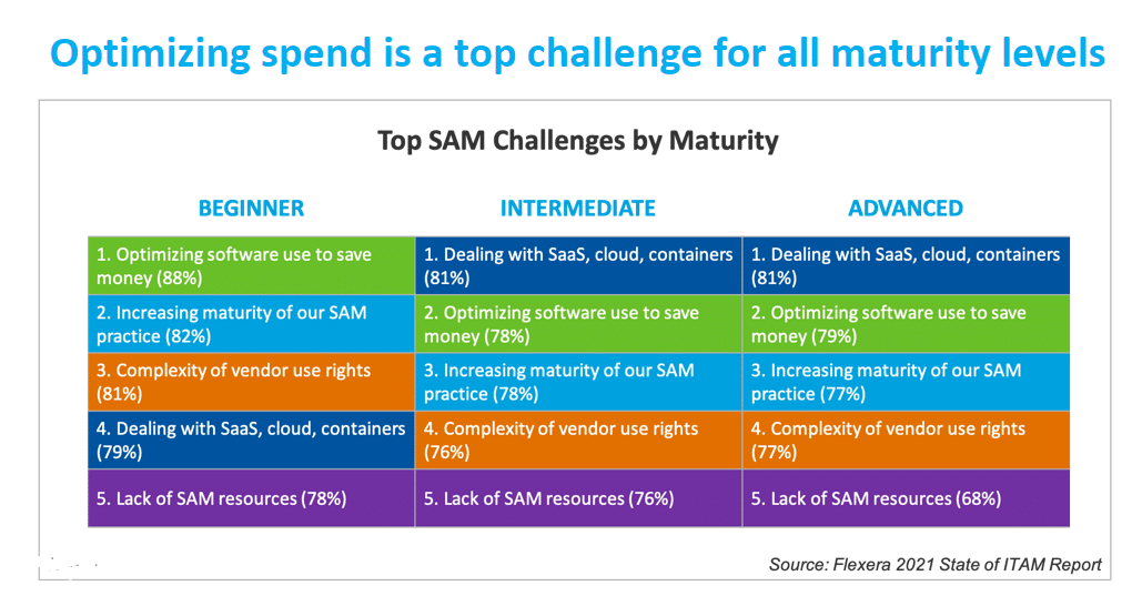 Top Software Asset Management Challenges by Maturity Chart