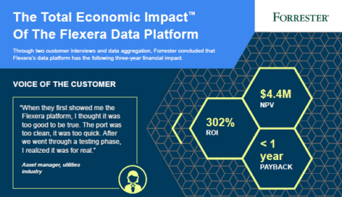 Is the Flexera Data Platform “Worth It”?